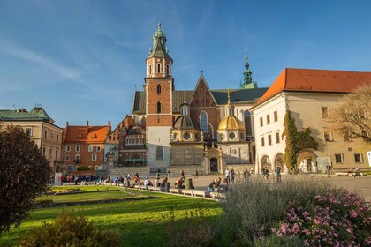 Krakow: Wawel Castle, Cathedral, Salt Mine, and Lunch