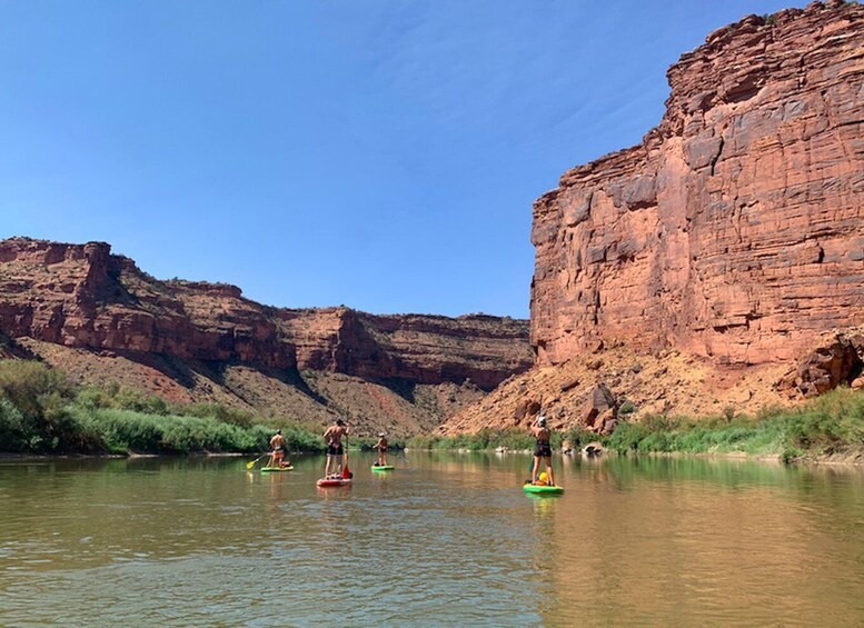 Moab: Colorado River 3.5-Hour Stand-Up Paddleboard Tour