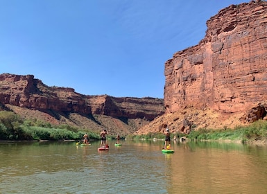 Moab: Colorado River 3,5 uur Stand-Up Paddleboard Tour