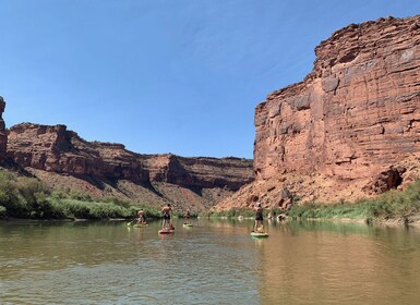 Moab: tour de remo en pie en aguas planas en el río Colorado