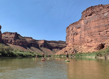 Moab: tour de remo en pie en aguas planas en el río Colorado