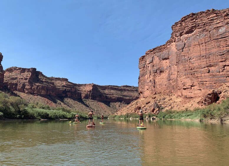 Moab: Colorado River 3.5-Hour Stand-Up Paddleboard Tour