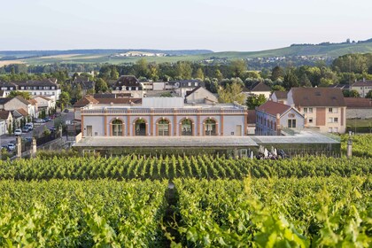 Aÿ-Champagne: Pressoria Champagne Museum with Tasting