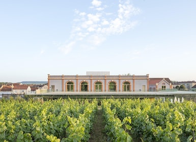 Aÿ-Champagne : Pressoria Champagne Museum avec dégustation