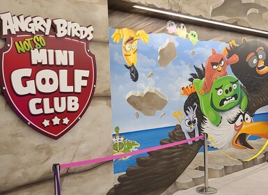 Amerikaanse Droom: Angry Birds Minigolf Kaartje