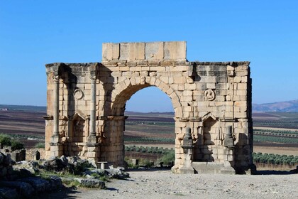 Au départ de Fès : Volubilis, Moulay Idriss et Meknès : excursion d'une jou...