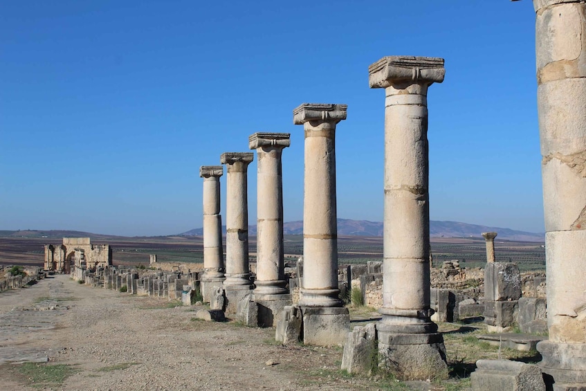 Picture 1 for Activity From Fez: Volubilis Moulay Idriss and Meknes Day Trip