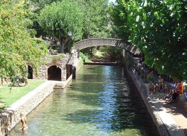 Desde Vilamoura: excursión tradicional de día completo al Algarve