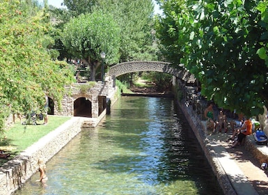 Vilamouralta: Perinteinen Algarven koko päivän matka