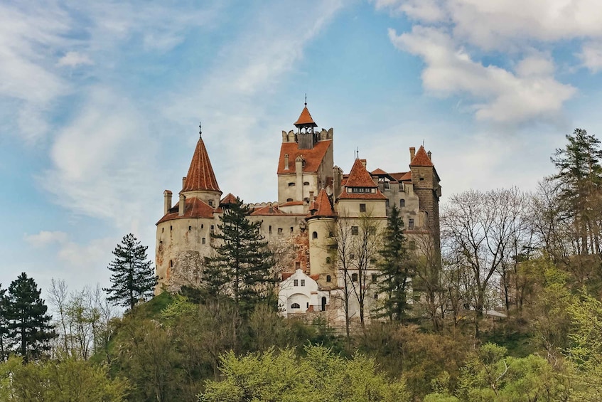 Picture 3 for Activity 7h Dracula's Castle Private Tour from Bucharest - Fast Tour