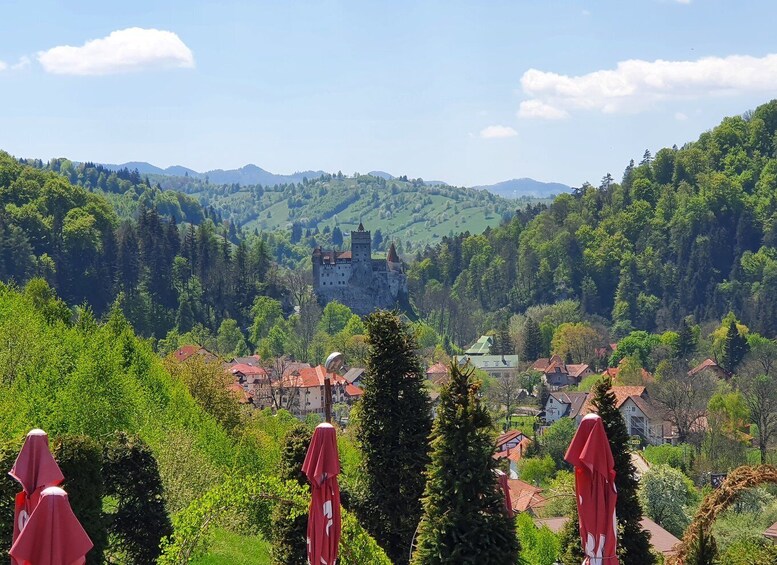 Picture 18 for Activity 7h Dracula's Castle Private Tour from Bucharest - Fast Tour