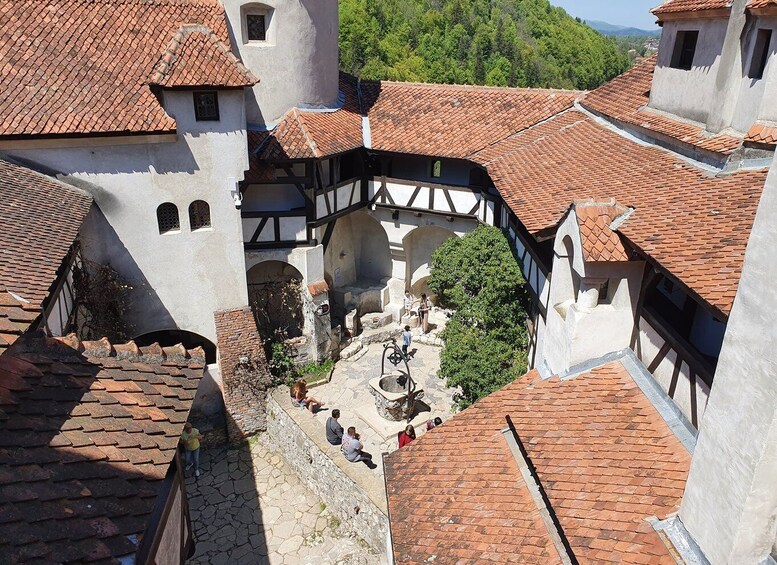 Picture 36 for Activity 7h Dracula's Castle Private Tour from Bucharest - Fast Tour