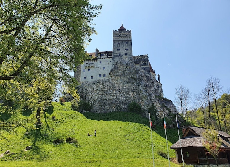 Picture 37 for Activity 7h Dracula's Castle Private Tour from Bucharest - Fast Tour