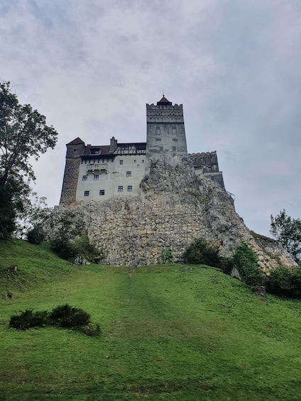 Picture 5 for Activity 7h Dracula's Castle Private Tour from Bucharest - Fast Tour