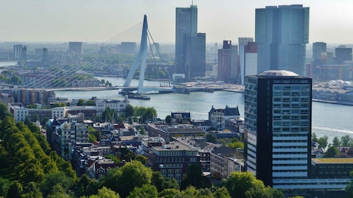 Rotterdam: recorrido privado en bicicleta con guía