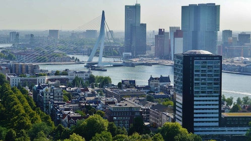 Rotterdam: Privat cykeltur med guide