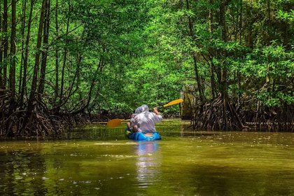 Fra San Jose: 3-dagers utflukt til Tortuguero nasjonalpark