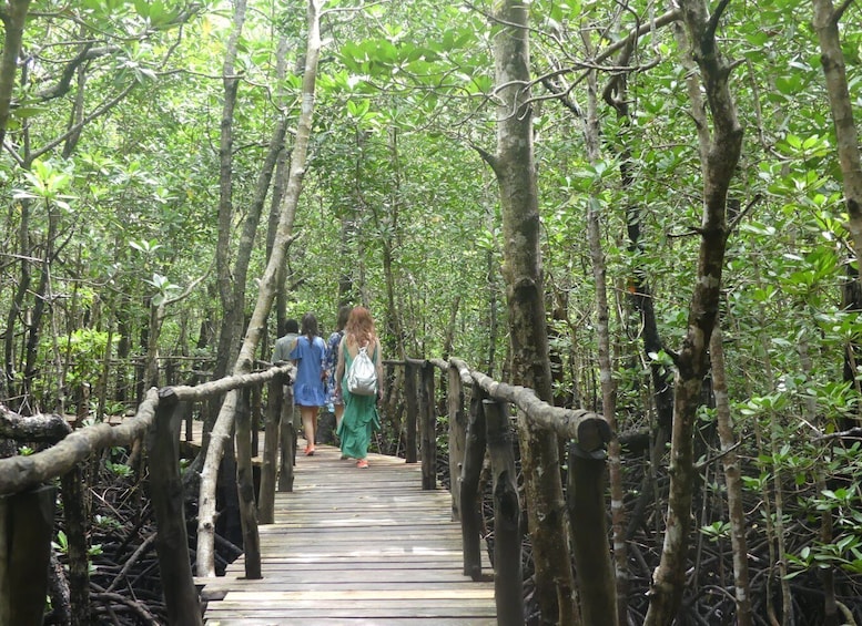 Picture 10 for Activity Zanzibar: Jozani Forest, Local Zoo and Swimming with Turtles