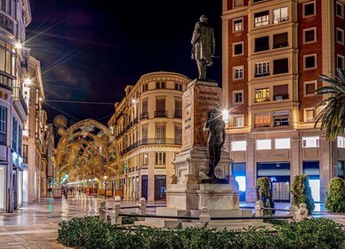 Von Granada aus: Malaga Private Tour mit Alcazaba Eintrittskarte