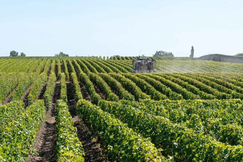 Picture 6 for Activity From Bologna: Franciacorta Lunch and Wine Tasting