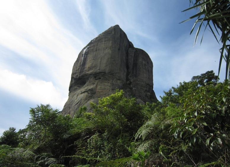 Picture 6 for Activity Rio de Janeiro: Pedra da Gavea Adventure Hike