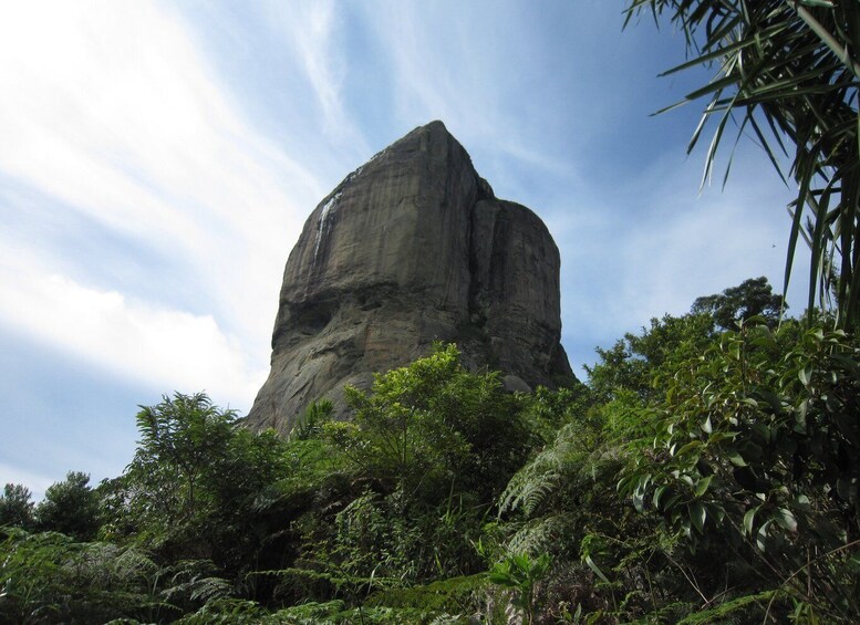 Picture 6 for Activity Rio de Janeiro: Pedra da Gavea Adventure Hike