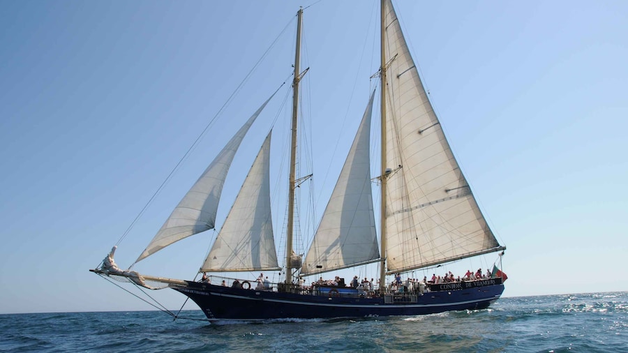 Vilamoura: Full-Day Algarve Cruise with BBQ Lunch on Beach