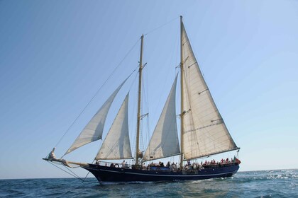 Vilamoura: crucero de día completo por el Algarve con almuerzo de barbacoa ...