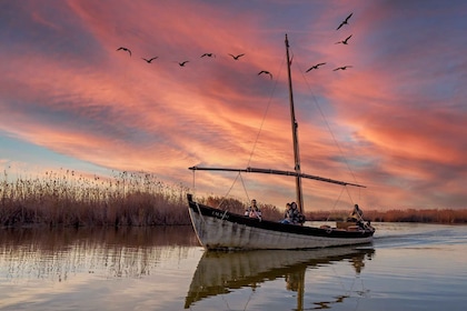 De Valence: excursion privée en van à Albufera avec promenade en bateau