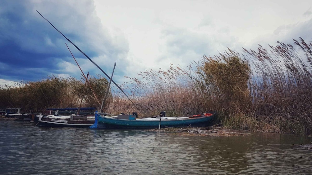 Picture 4 for Activity From Valencia: Private Albufera Van Tour with Boat Ride