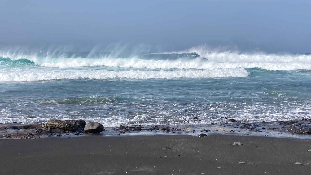 Picture 8 for Activity Wild romantic beaches - west coast guided walk