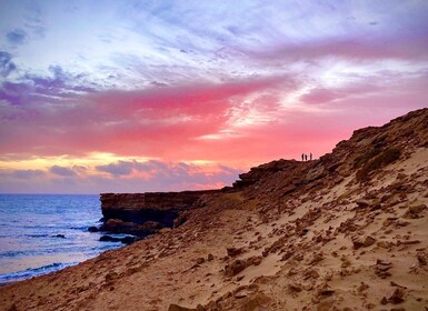 Fuerteventura: West Coast Guided Sunset Walk