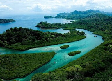 Desde la ciudad de Panamá: excursión de un día a la playa del Caribe