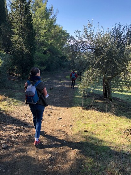 Picture 15 for Activity Florence: Local Hiking Tour with Wine and Lunch