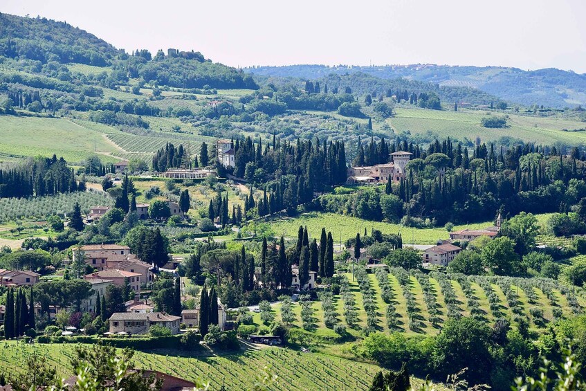 Florence: Local Hiking Tour with Wine and Lunch