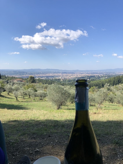 Picture 11 for Activity Florence: Local Hiking Tour with Wine and Lunch