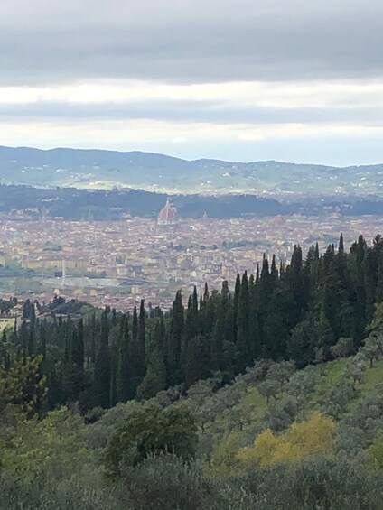 Picture 2 for Activity Florence: Local Hiking Tour with Wine and Lunch