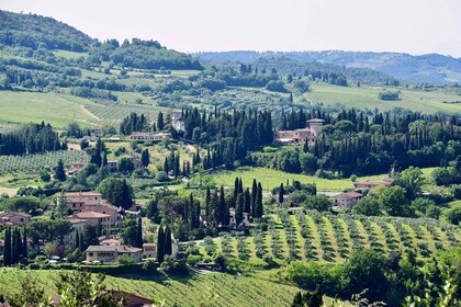 Florence: Tur Pendakian Lokal dengan Anggur dan Makan Siang