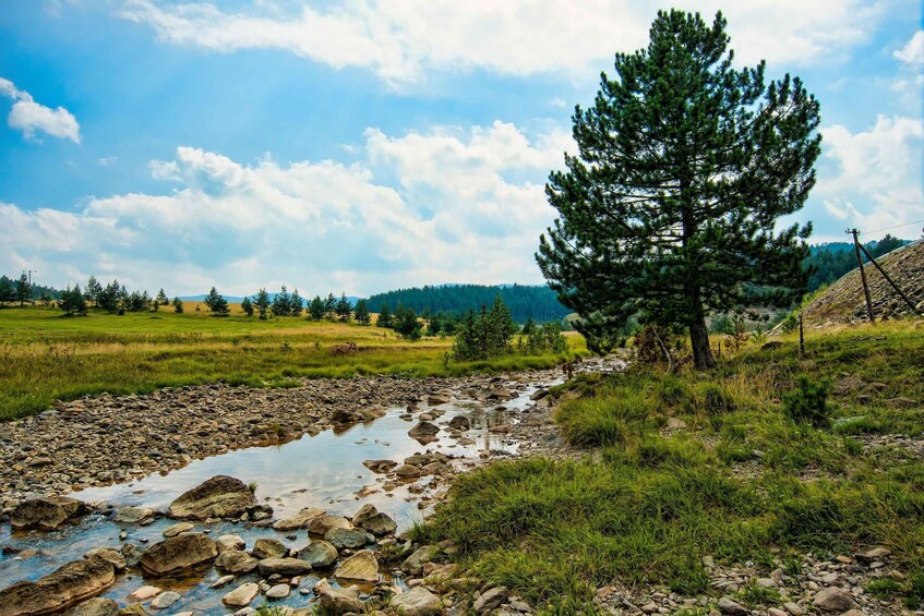 Picture 4 for Activity From Belgrade: Full-Day Guided Tour of Zlatibor Mountain