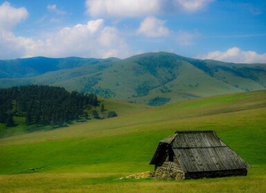 Von Belgrad aus: Ganztägige geführte Tour durch den Berg Zlatibor