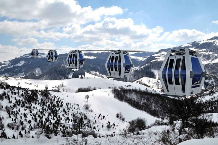 Picture 2 for Activity From Belgrade: Full-Day Guided Tour of Zlatibor Mountain