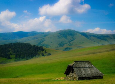 Von Belgrad aus: Ganztägige geführte Tour durch den Berg Zlatibor