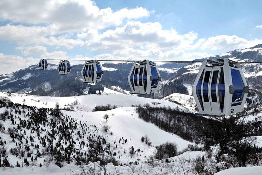 Picture 2 for Activity From Belgrade: Full-Day Guided Tour of Zlatibor Mountain