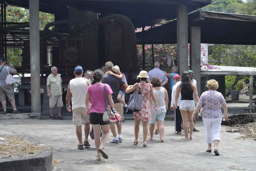 Picture 9 for Activity Grenada: Rum Distillery Tour and Tastings