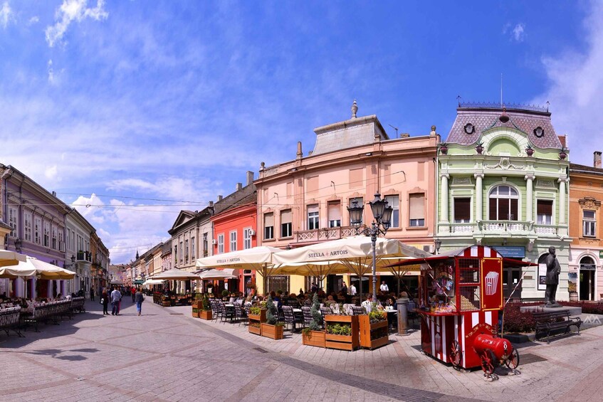 Picture 5 for Activity From Belgrade: Novi Sad and Sremski Karlovci Day Trip