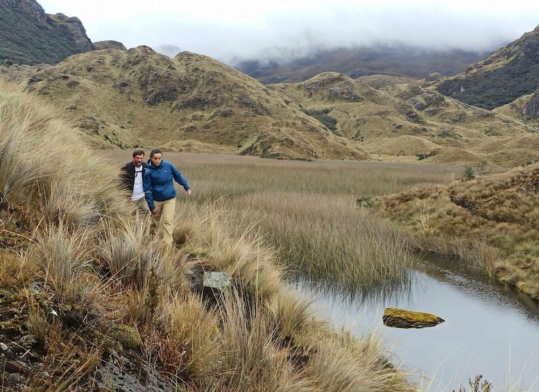 Picture 3 for Activity From Cuenca: Cajas National Park Half-Day Trip