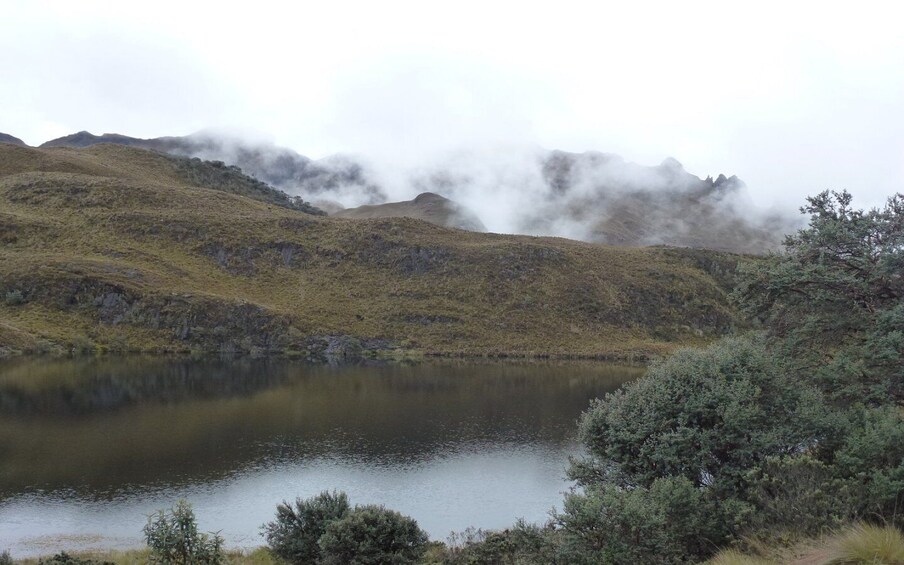 Picture 1 for Activity From Cuenca: Cajas National Park Half-Day Trip