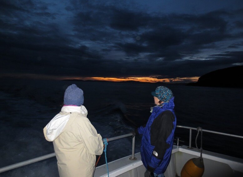Picture 7 for Activity Baltimore Harbor: Sunset Cruise to Fastnet Rock Lighthouse