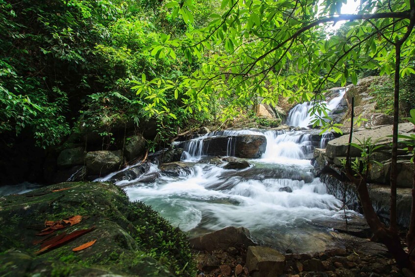 Picture 4 for Activity Khao Lak: Off-Road Jungle Full-Day Jeep Tour with Lunch