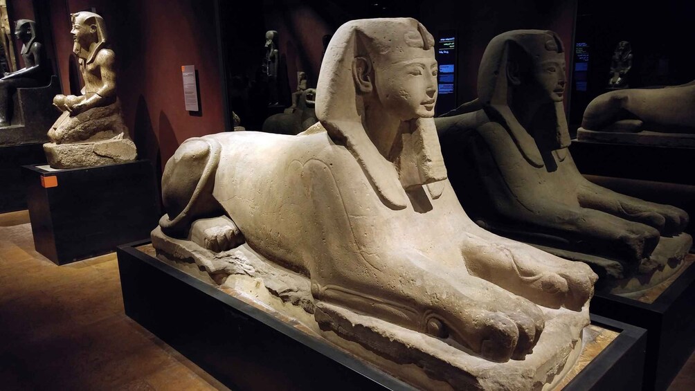 Picture 1 for Activity Turin: Egyptian Museum & City Tour Guided Experience